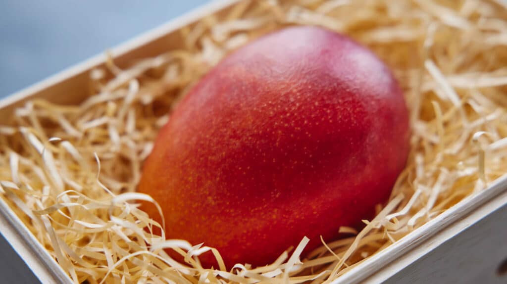 島香るマンゴー 2玉入り image 3