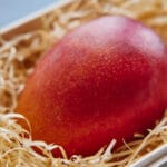 島香るマンゴー 2玉入り thumbnail 3