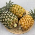 パイン 2玉入り thumbnail 0