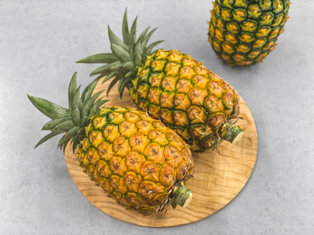 グランパイン 2玉入り image 0