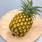 ゴールドバレル 2玉入り thumbnail 0